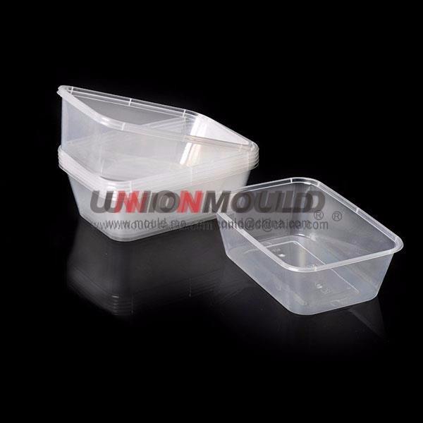 IML(Thin-Wall-Moulds)-4