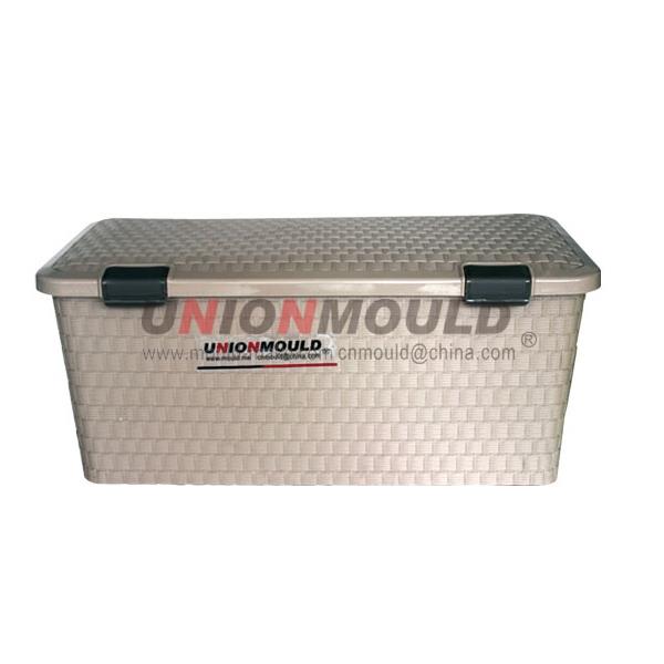 Storage Box Mold19