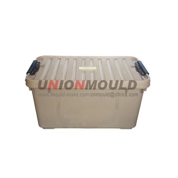 Storage Box Mold18