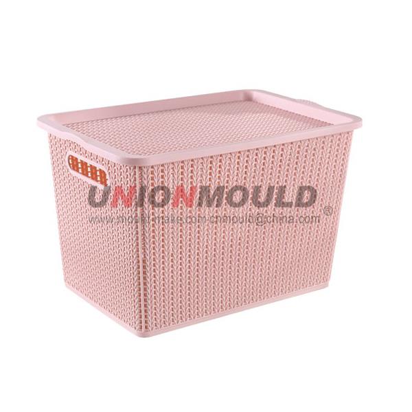Storage Box Mold9