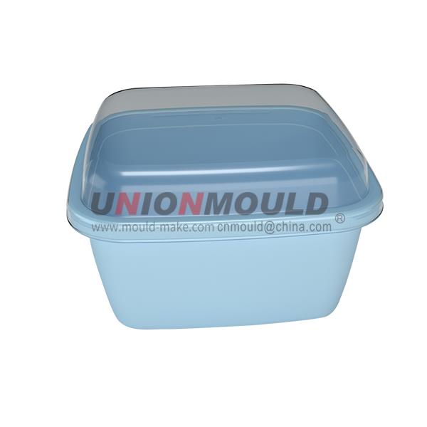 Household-Mould-34