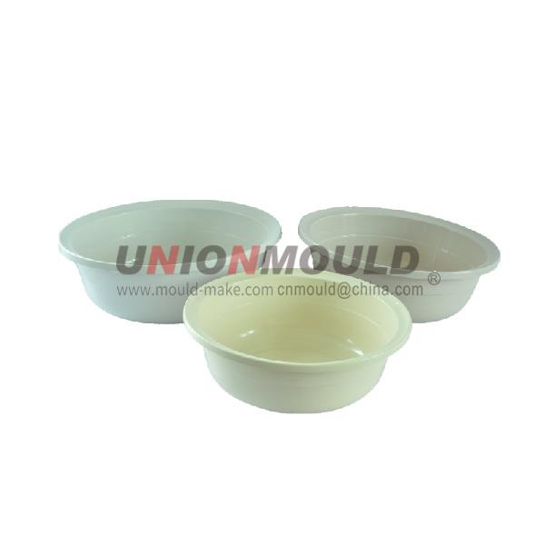 Household-Mould-5
